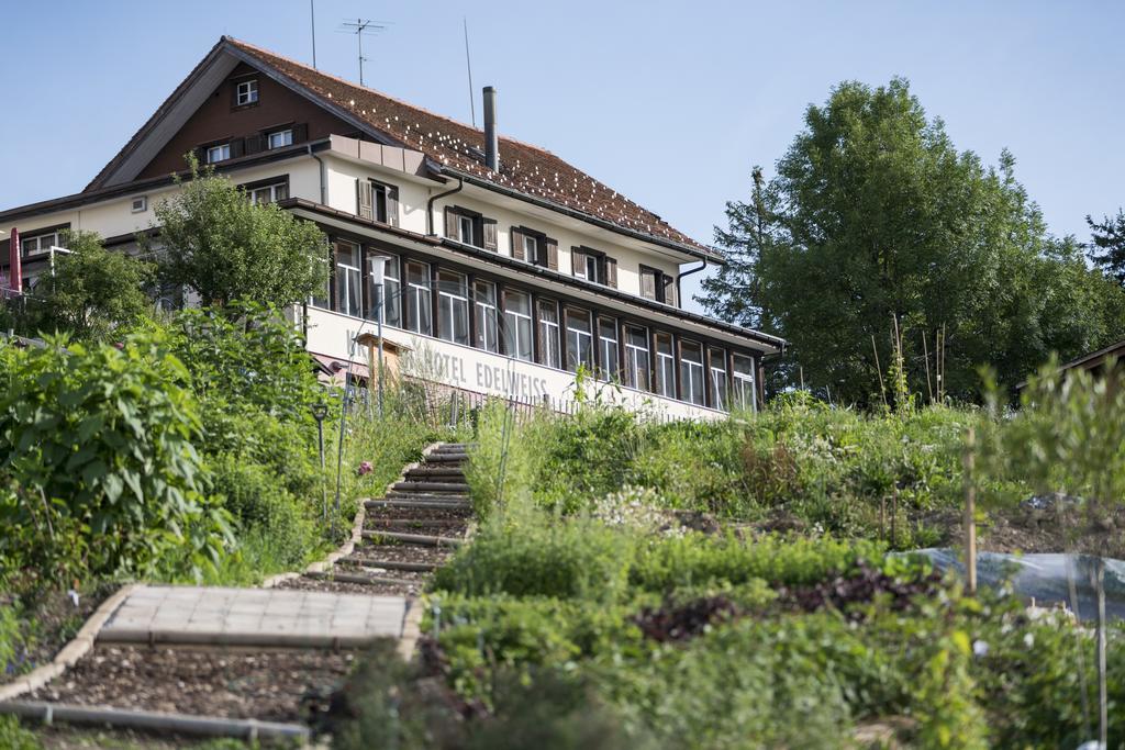 ריגי קלטבד Kraeuterhotel Edelweiss מראה חיצוני תמונה